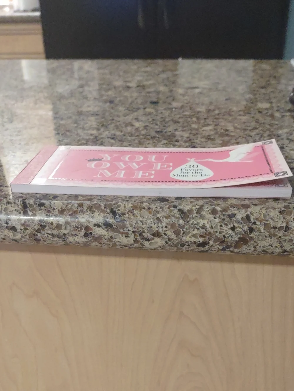 You Owe Me - 30 Pink Baby Shower Favors for Mom-to-Be